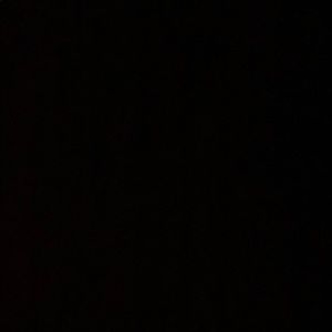 Meet your Posher, Antonio